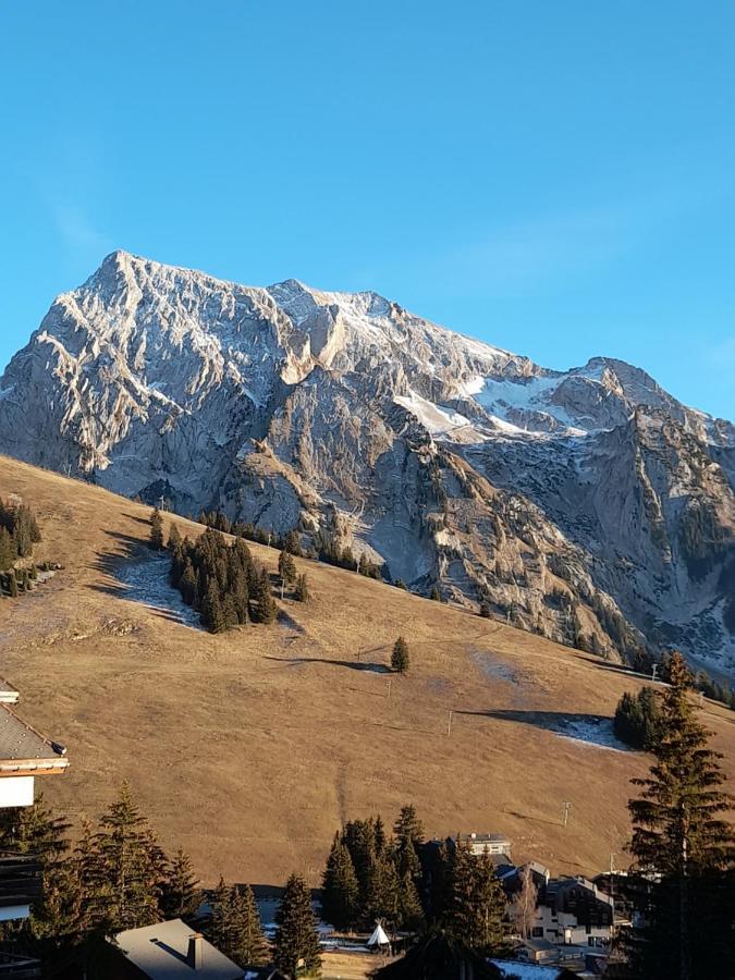 Appartement Au Coeur Des Aravis Manigod Buitenkant foto